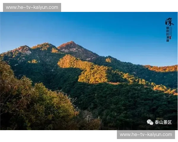 橙红碰撞的史诗:当泰山脊梁遇见南粤风暴,那场关于信仰的博弈